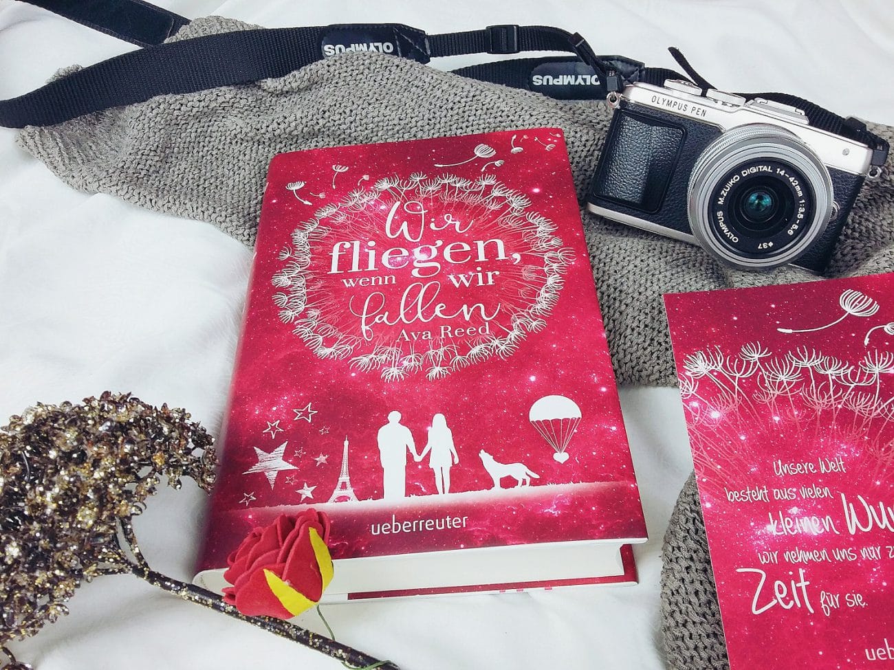Blogtour: Wir fliegen, wenn wir fallen | Mein Herzenswunsch