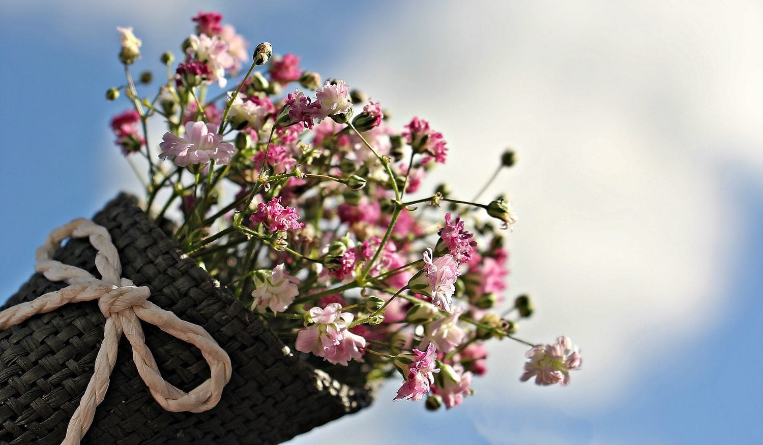 Im Frühling sind wir am schönsten