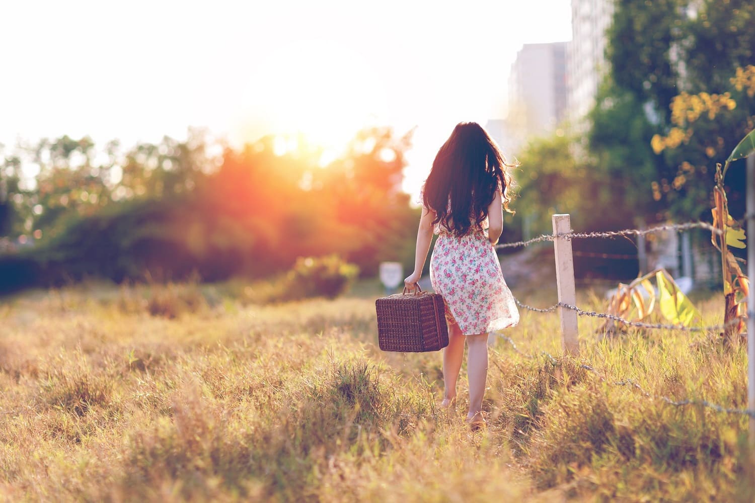 A Love Letter to New Beginnings | Neubeginn