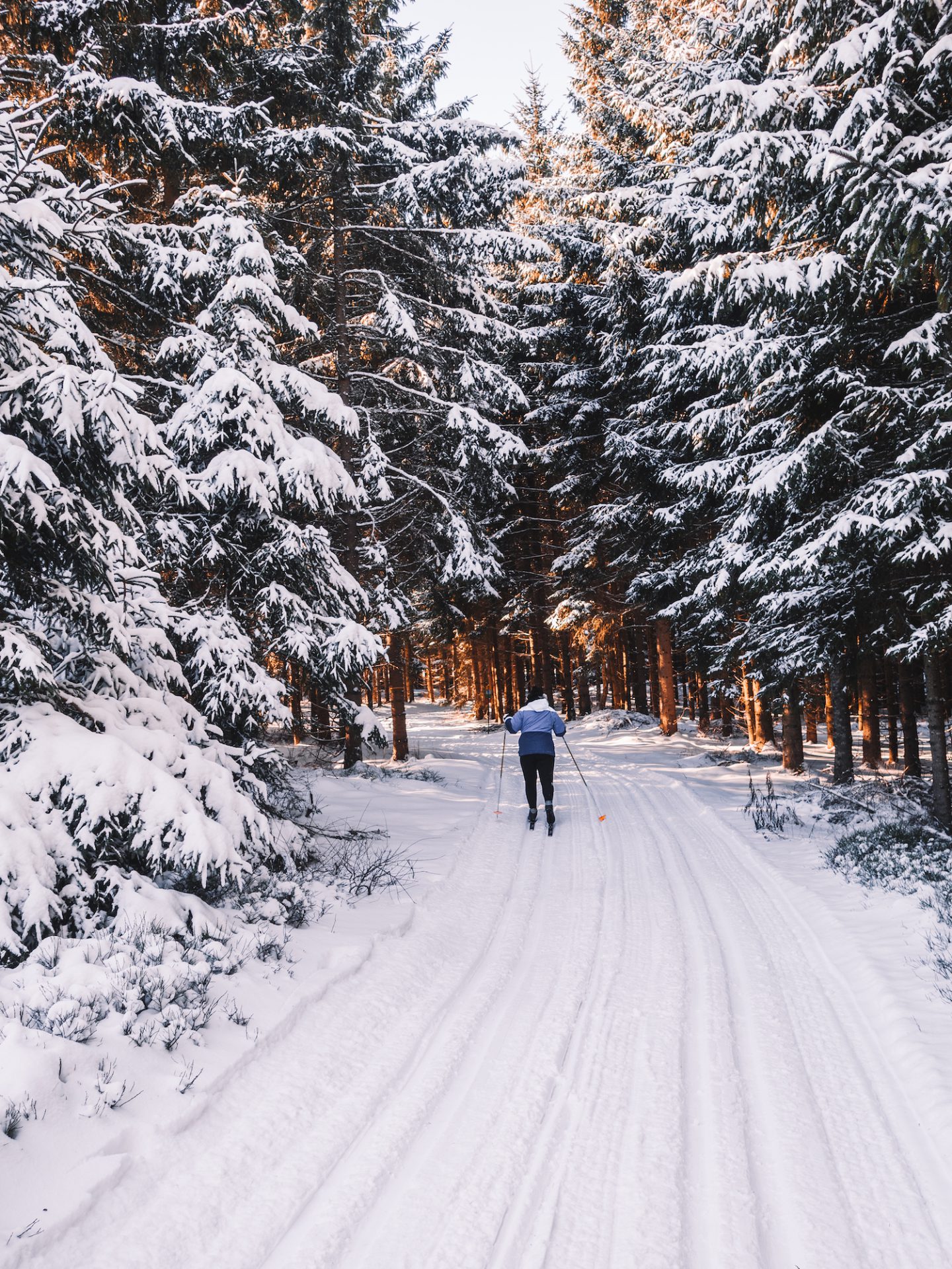 Abseits der Piste: dein 72h Winter-Guide für das Waldviertel