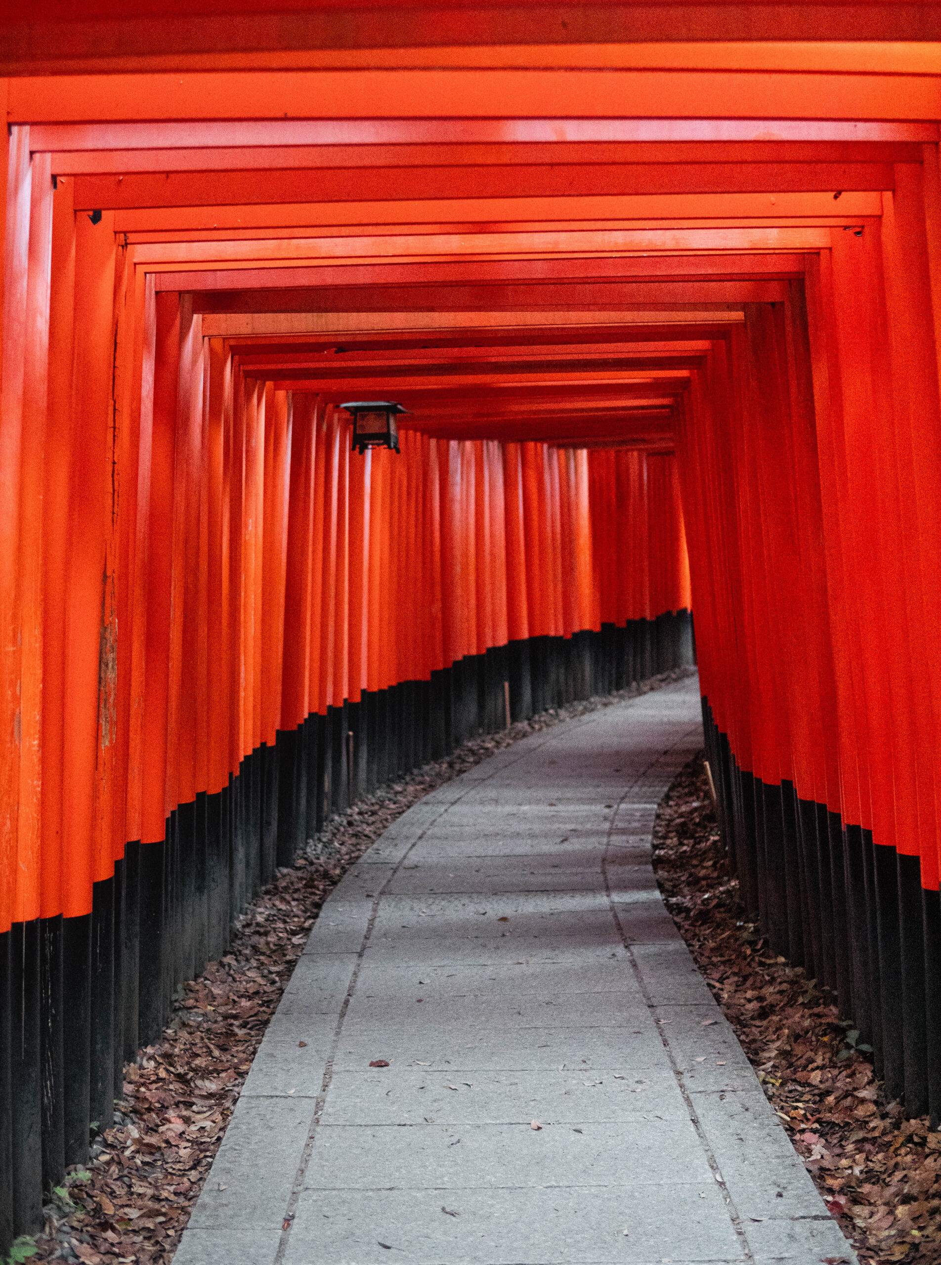 Low Budget Reise nach Japan – Alle Kosten & Tipps